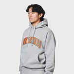 Grey ANNIE Hood College Arch Hoody in relaxed fit with 500gsm brushback cotton, worn by 6'0 model with 31 waist