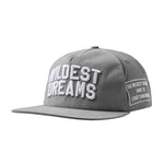 Grey and white Wildest Dreams Varsity Cap with bold embroidered lettering and flat brim