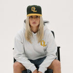 Grey hoodie with cherry location design on front