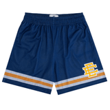 Eric Emanuel EE Stripe Short in navy and yellow colors
